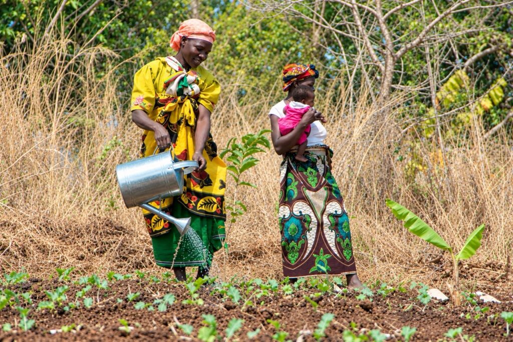 A woman in Mozambique waters her garden